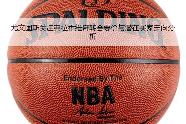 尤文图斯关注弗拉霍维奇转会要价与潜在买家走向分析